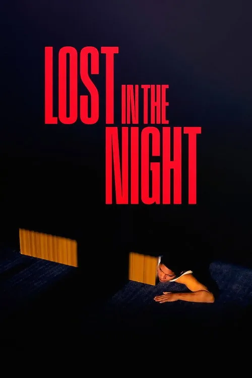 Lost in the Night poster