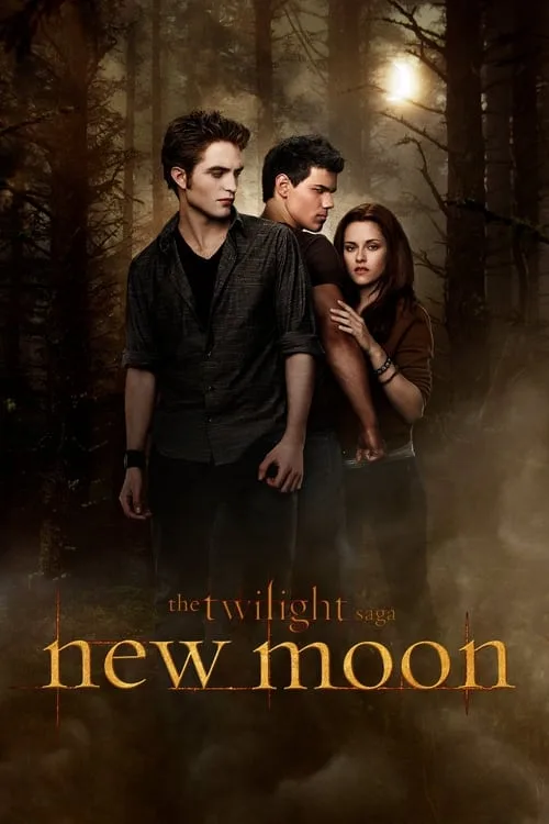 The Moon poster